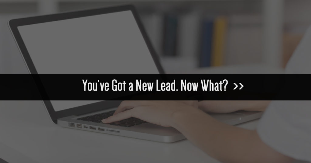 new-lead-now-what-dark-bkgrnd
